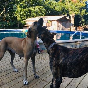 Meet your Posher, Dena